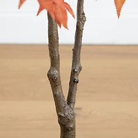 Nearly Natural Indoor Artificial Tree