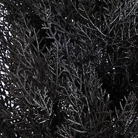 Nearly Natural 6ft Uv Black Cedar In/Out Indoor Outdoor Artificial Tree