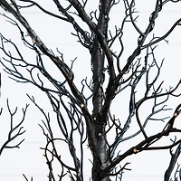 Nearly Natural 5ft Pre-Lit Halloween Twig Lighted Indoor Artificial Tree
