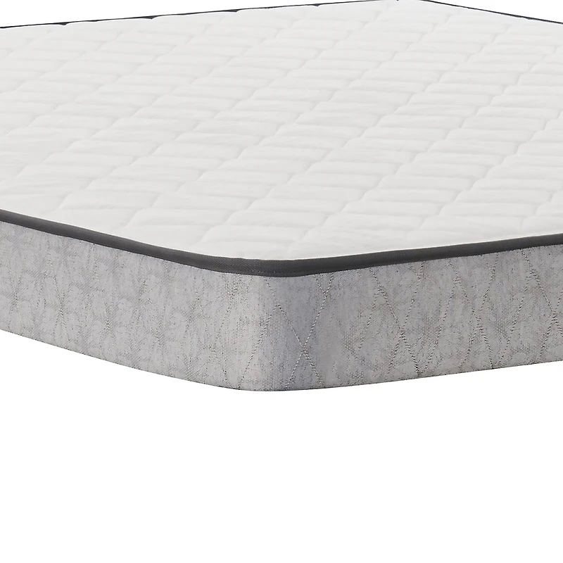 Sealy Essentials Peninsula 5.5" Medium Tight Top - Mattress Only