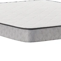 Sealy Essentials Peninsula 5.5" Medium Tight Top - Mattress Only