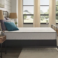 Sealy Essentials Sigmund 10" Firm Tight Top - Mattress Only