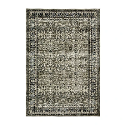 Covington Home Savannah Vintage Border Indoor Rectangular Area Rug