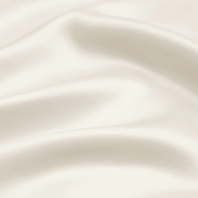 Casual Comfort Luxurious 100% Mulberry Silk Pillowcase