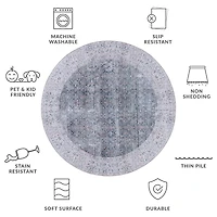 Safavieh Tucson Mary 6'X6' Indoor Round Area Rug