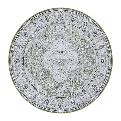 Safavieh Tucson Ara Indoor Round Area Rug