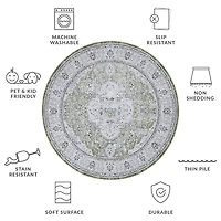 Safavieh Tucson Ara Indoor Round Area Rug