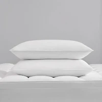 Rolled Allergen Barrier 2 Pack Soft Density Bed Pillow
