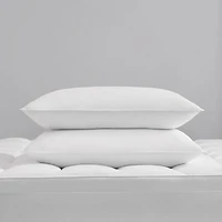 Rolled Allergen Barrier 2 Pack Soft Density Bed Pillow