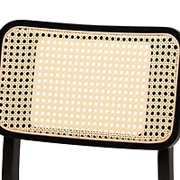 Dannon 2-pc. Dining Chair