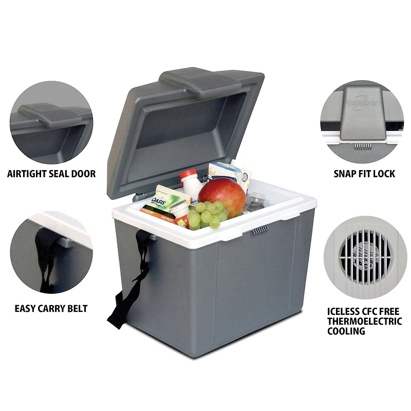 Koolatron Traveller III P9 Thermoelectric Iceless 12V Cooler Warmer 9L
