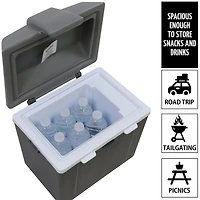 Koolatron Traveller III P9 Thermoelectric Iceless 12V Cooler Warmer 9L