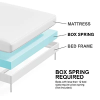 Furniture of America™ Sander Upholstered Rectangular Bed