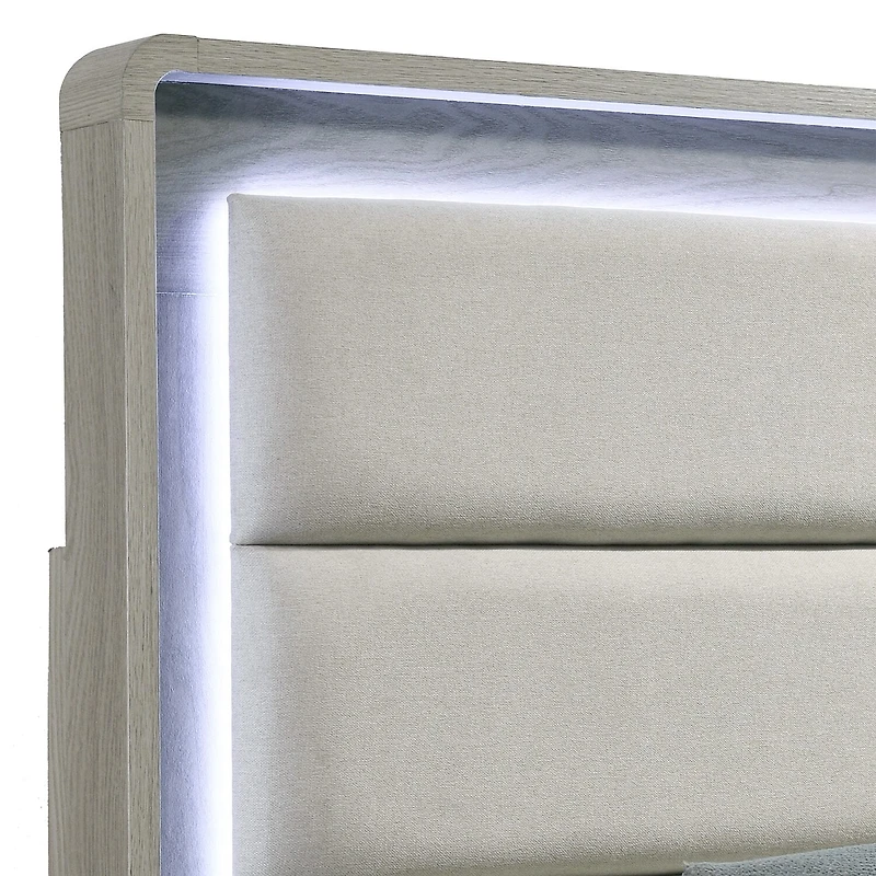 Furniture of America™ Sander Upholstered Rectangular Bed