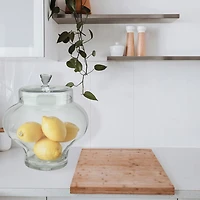 14.5'' Clear Segmented Glass Container with Lid