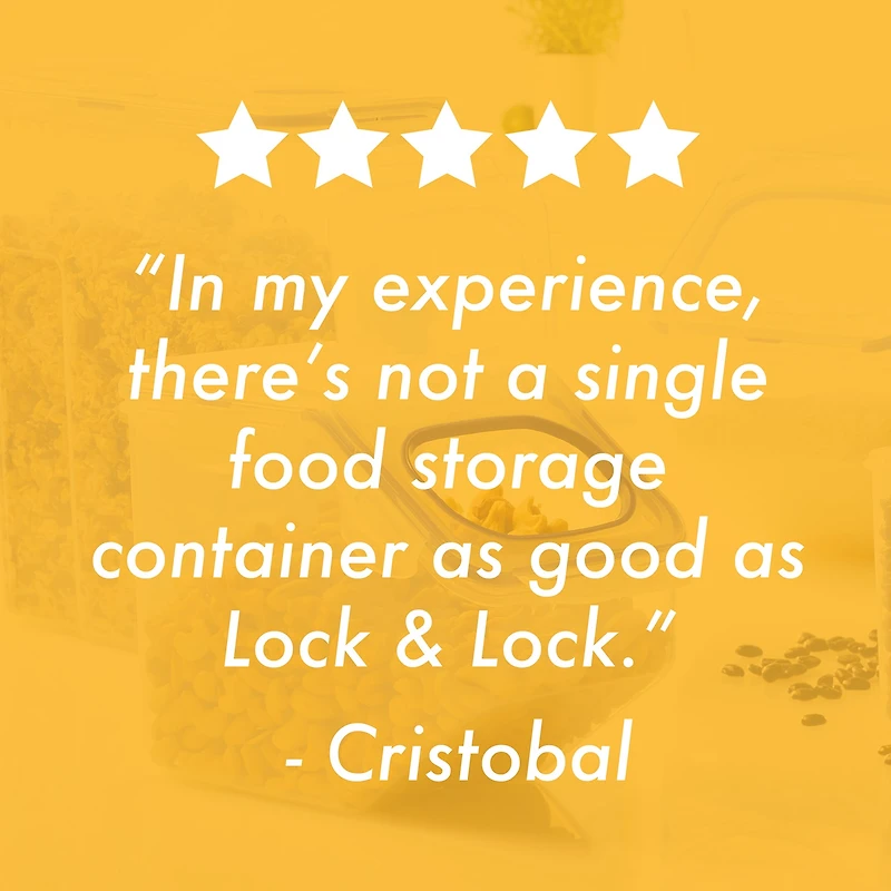 Lock & Lock 16.5-cup Food Container