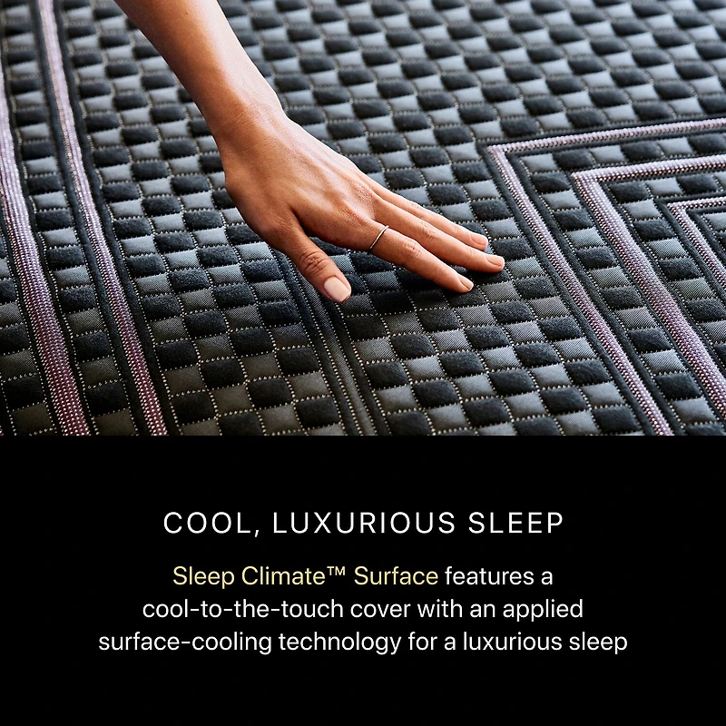Beautyrest Black Series Two 13.5" Hybrid Plush Tight Top - Mattress Only