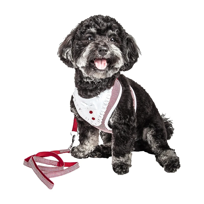 Pet Life Luxe 'Spawling' 2-In-1 Mesh Reversed Adjustable-Leash W/ Fashion Bowtie Dog Harness