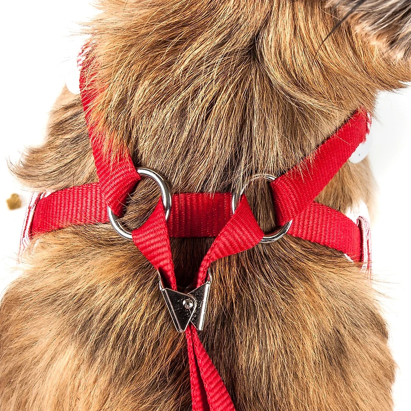 Pet Life Luxe 'Spawling' 2-In-1 Mesh Reversed Adjustable-Leash W/ Fashion Bowtie Dog Harness