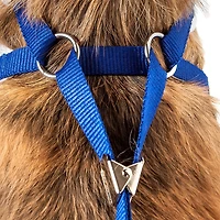 Pet Life Luxe 'Spawling' 2-In-1 Mesh Reversed Adjustable-Leash W/ Fashion Bowtie Dog Harness
