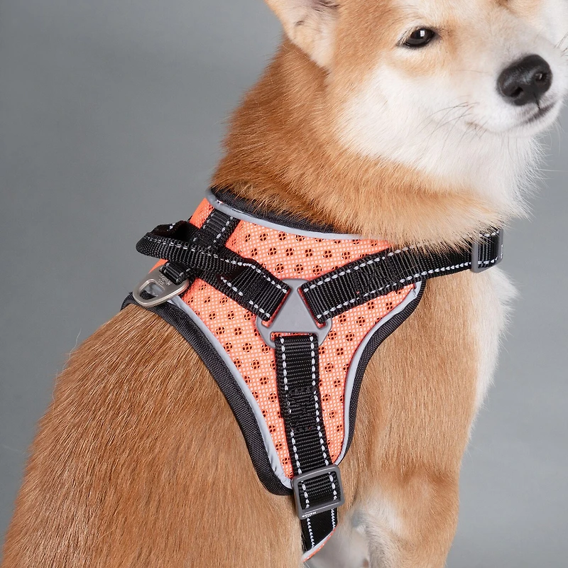 Dog Helios Scorpion' Sporty High-Performance Free-Range Harness