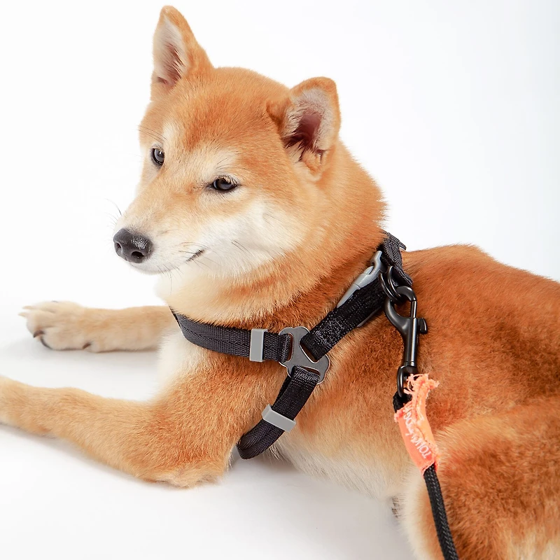 Touchdog Macaron' 2-In-1 Durable Nylon Leash Dog Harness