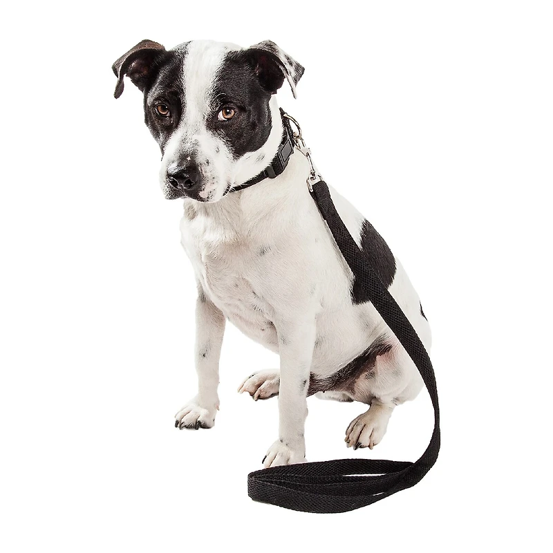 Pet Life Aero Mesh 2-In-1 Dual Sided Comfortable And Breathable Adjustable Mesh-Collar Dog Leash