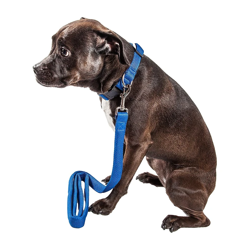 Pet Life Aero Mesh' 2-In-1 Dual Sided Comfortable And Breathable Adjustable Mesh-Collar Dog Leash