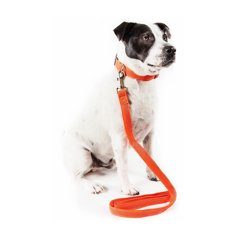 Pet Life Aero Mesh 2-In-1 Dual Sided Comfortable And Breathable Adjustable Mesh-Collar 4 Ft Dog Leash