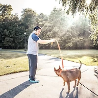 Pet Life Aero Mesh 2-In-1 Dual Sided Comfortable And Breathable Adjustable Mesh-Collar 4 Ft Dog Leash