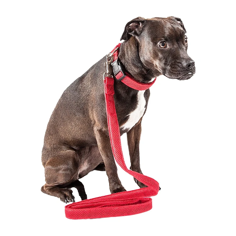 Pet Life Aero Mesh 2-In-1 Dual Sided Comfortable And Breathable Adjustable Mesh-Collar 4 Ft Dog Leash