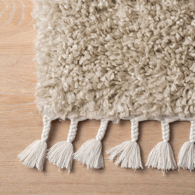 Nuloom Casual Neva Indoor Rectangular Accent Rug