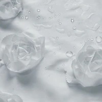 Awesome Home™ Floral Ruffle Shower Curtain