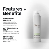 Paul Mitchell Dry Conditioner