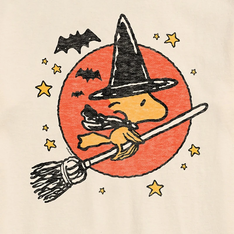 Mens Short Sleeve Peanuts Halloween Graphic T-Shirt