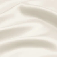 Casual Comfort Luxurious 100% Mulberry Silk Pillowcase