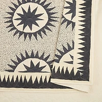 JUNGALOW by Justina Blakeney Soleil 3-pc. Reversible Quilt Set