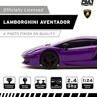 CMJ RC CARS 2-pc. Car