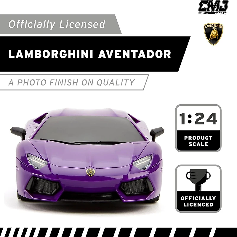 CMJ RC CARS 2-pc. Car