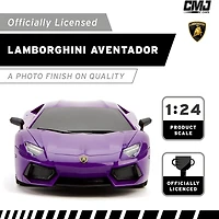 CMJ RC CARS 2-pc. Car