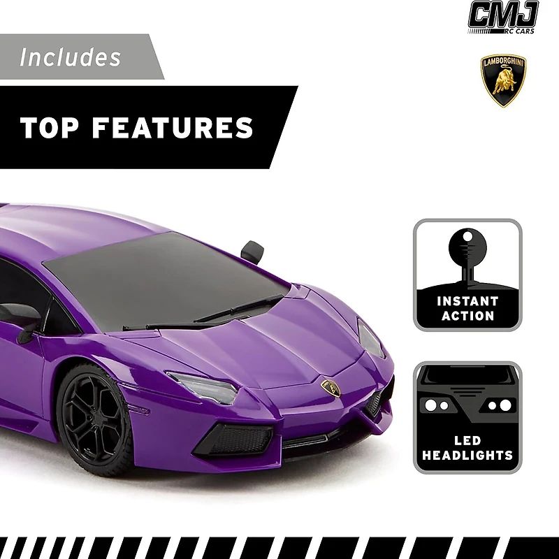 CMJ RC CARS 2-pc. Car