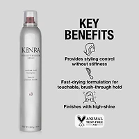 Kenra Professional Perfect Medium Hair Spray 10 oz.