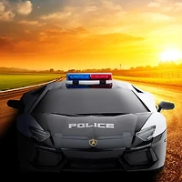 CMJ RC CARS 2-pc. Car