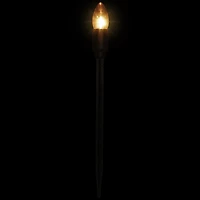 Set of 10 C9 Bulb Halloween Pathway Markers