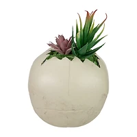 Northlight 8.75in Led Lighted Succulent Skull Lighted Halloween Tabletop Decor