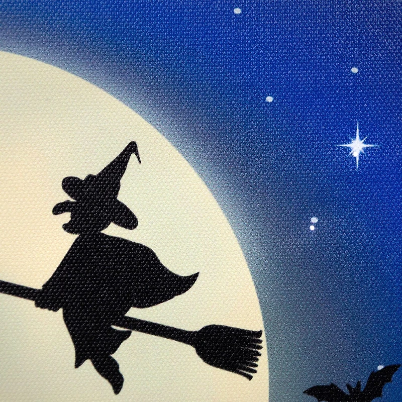 Northlight Fiber Optic Led Witch In Moon Canvas Art