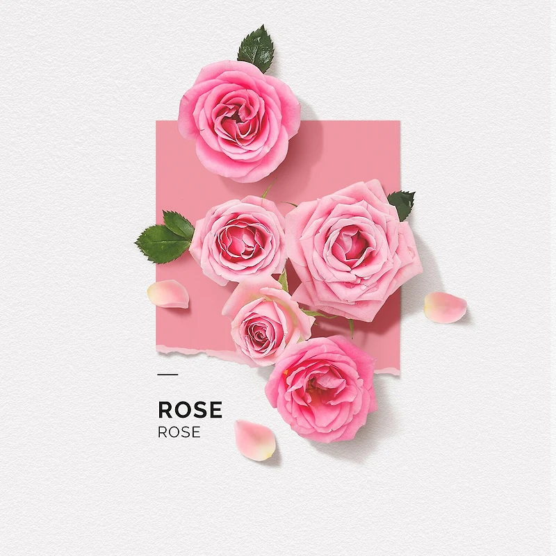 Solinotes Rose Eau De Parfum