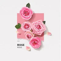 Solinotes Rose Eau De Parfum