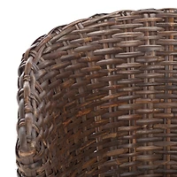 Safavieh Omni Armchair