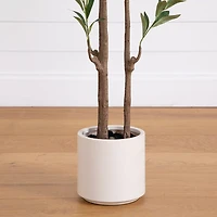 Nearly Natural 6ft. Green Minimalist Olive Indoor Artificial Tree